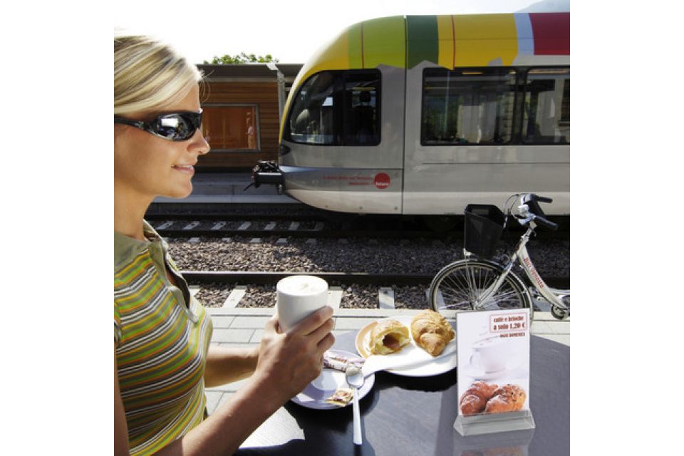 taymar poster double side