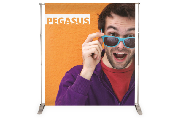 Pegasus e Pegasus 3M